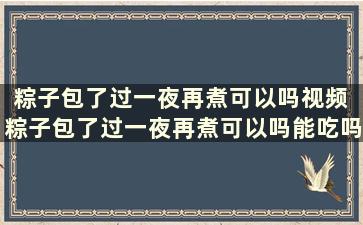 粽子包了过一夜再煮可以吗视频 粽子包了过一夜再煮可以吗能吃吗